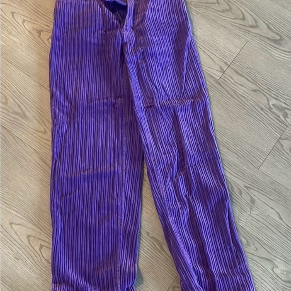 BDG Purple Wide Leg Velvet/Corduroy Style  Pants
